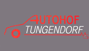 Autohof Tungendorf: Ihre Autowerkstatt in Neumünster